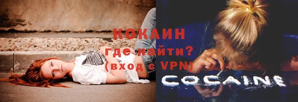 СК Аркадак