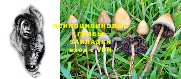 СК Аркадак