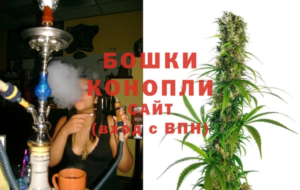 СК Аркадак