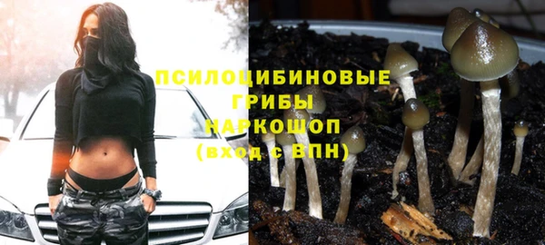 СК Аркадак