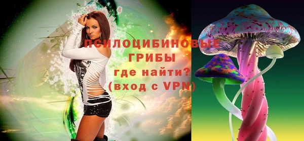 бошки Арсеньев
