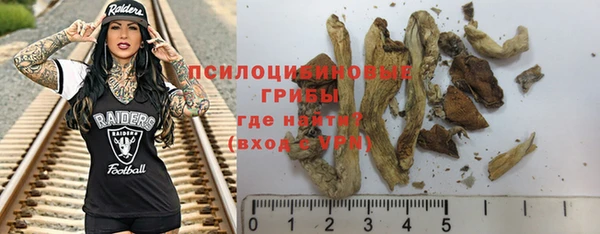 бошки Арсеньев
