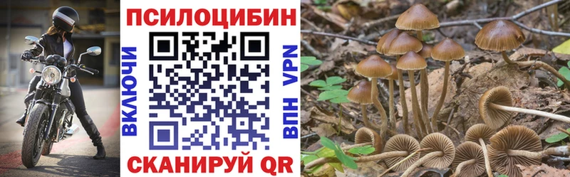 KRAKEN сайт  Пошехонье  Псилоцибиновые грибы GOLDEN TEACHER 
